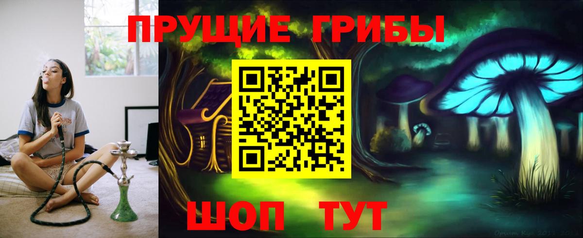 Псилоцибиновые грибы Psilocybine cubensis Учалы